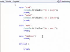 C# (Csharp) Console Switch - #Ders 5